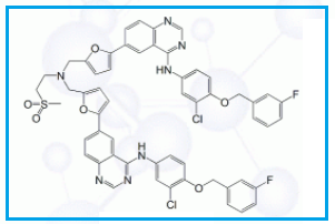 Lapatinib Dimer Impurity
